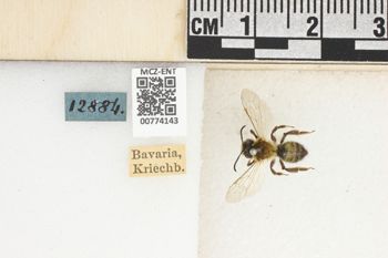 Media type: image;   Entomology 774143 Aspect: Labels